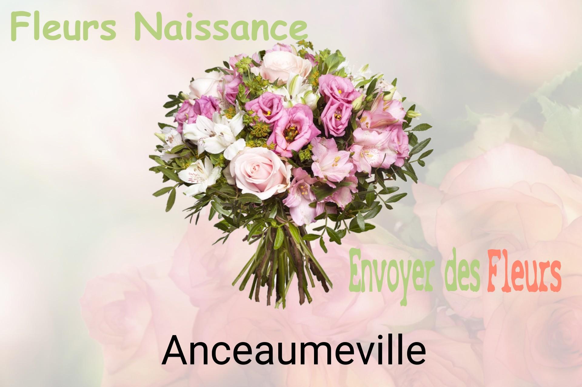 Bouquet de fleurs de naissance livré à Anceaumeville